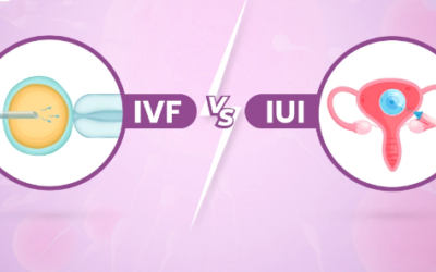 In Vitro Fertilization (IVF) or Intrauterine insemination (IUI)