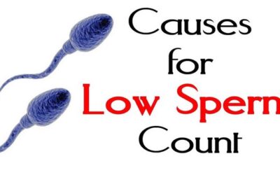 LOW SPERM COUNTS ? WHAT TO DO?