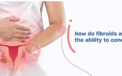 Can you get pregnant with Fibroids? What Every Woman Trying to Conceive Needs to Know – Vansh IVF Centre Jaipur