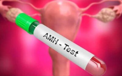 Every Couple Needs to Know About the AMH Test – Vansh IVF Centre Jaipur