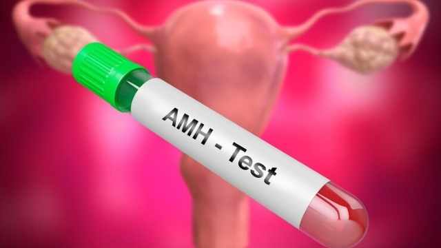 AMH TEST - Vansh IVF Centre